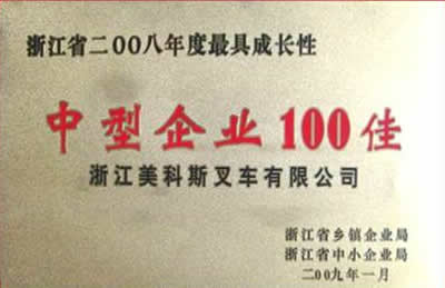 中型企業(yè)100佳