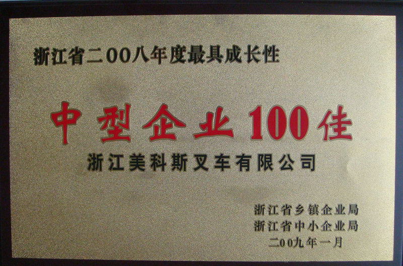 中型企業(yè)100佳